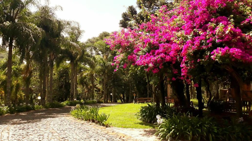 Villa Flor Ecoresort Nova Petropolis Buitenkant foto