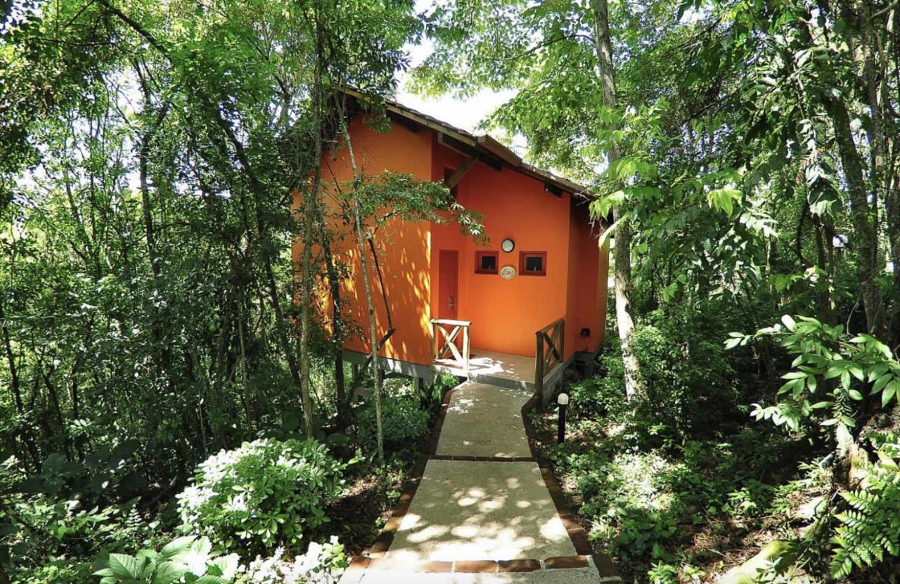 Villa Flor Ecoresort Nova Petropolis Buitenkant foto